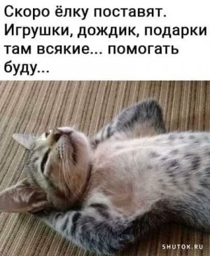 1633028476_shutok.ru.01.jpg