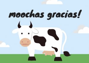 gracias.JPG